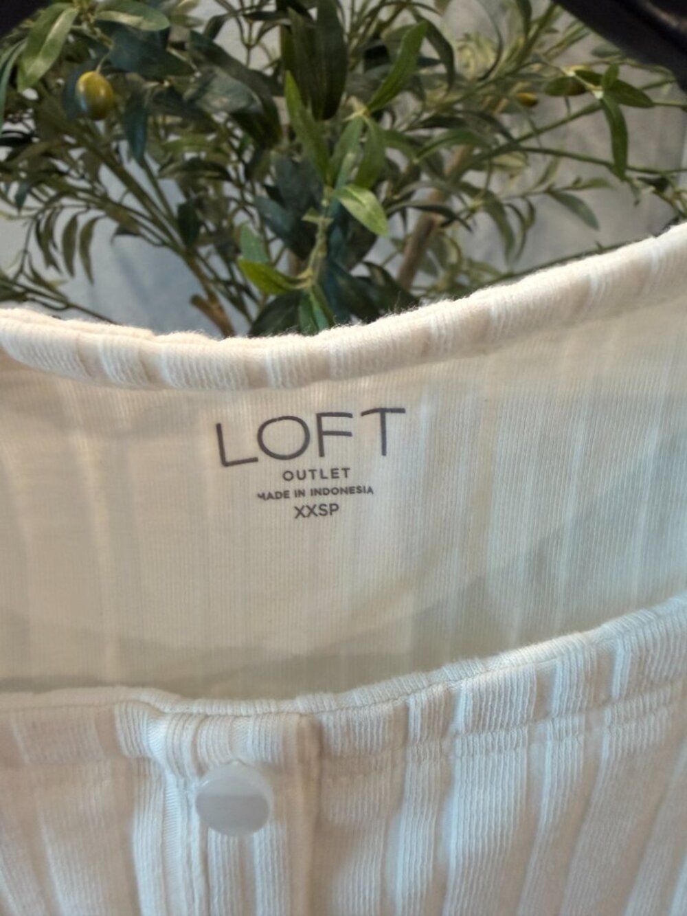 Loft Shirt - Picture 2 of 4